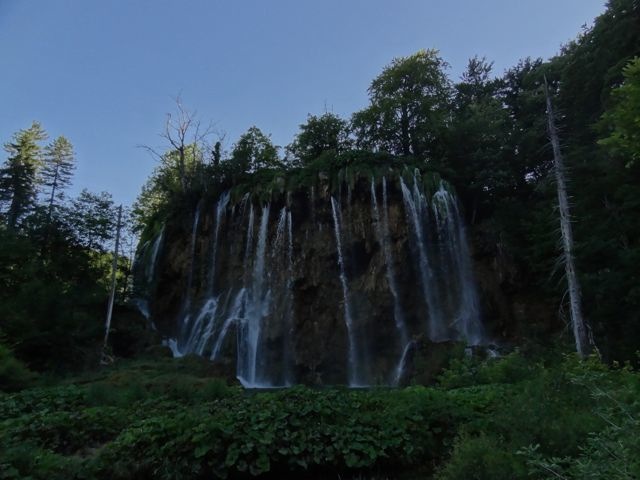DSC07517
