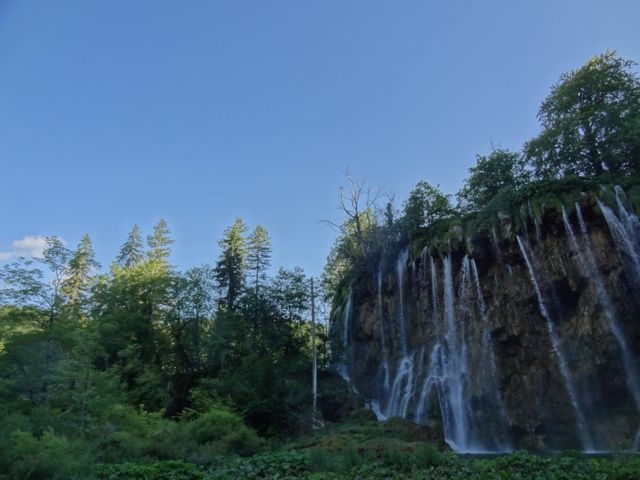 DSC07519