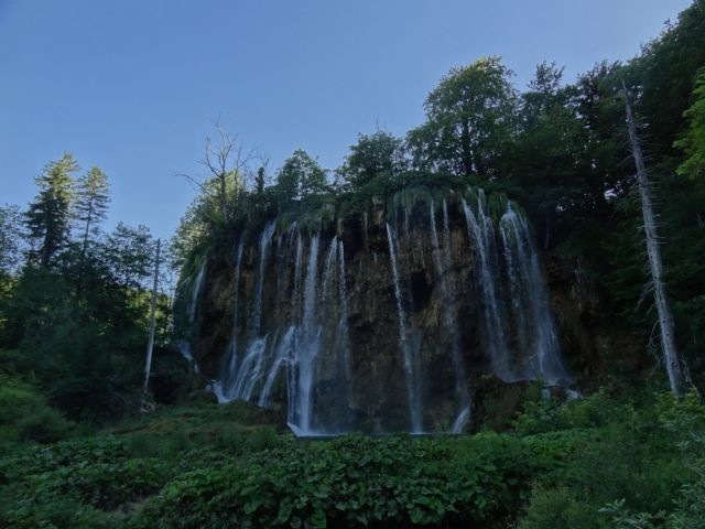 DSC07520