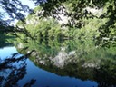 DSC07542