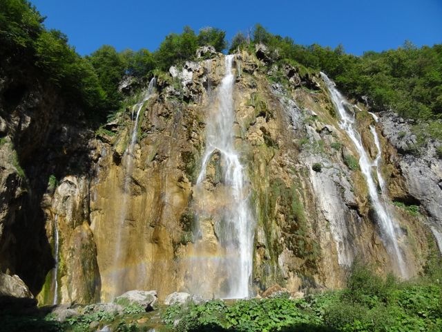 DSC07547
