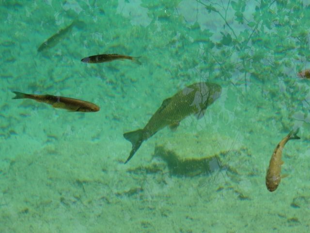 DSC07550