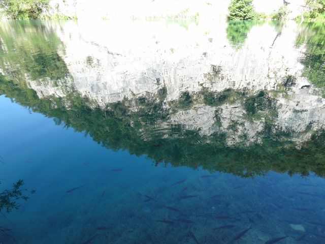 DSC07555