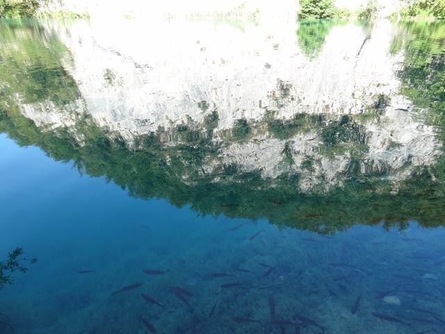DSC07556