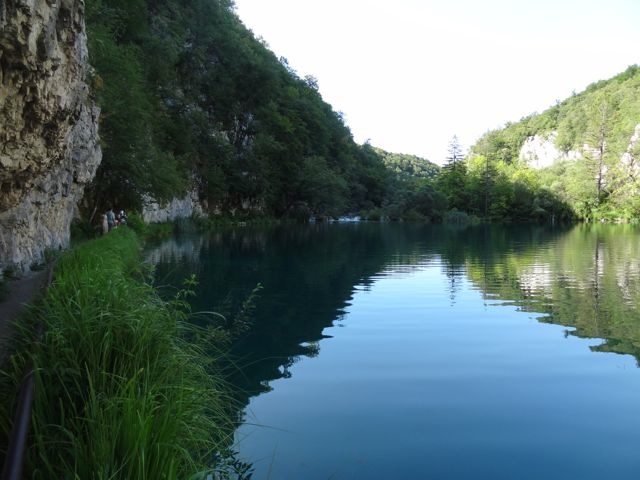 DSC07557