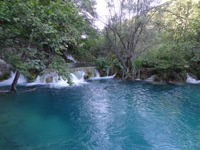 DSC07560
