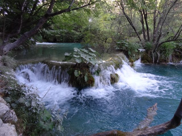 DSC07561