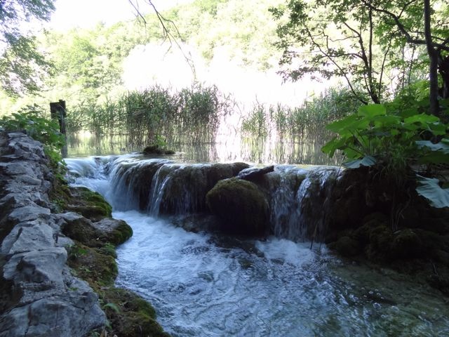 DSC07563
