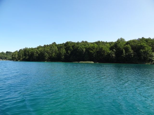 DSC07574