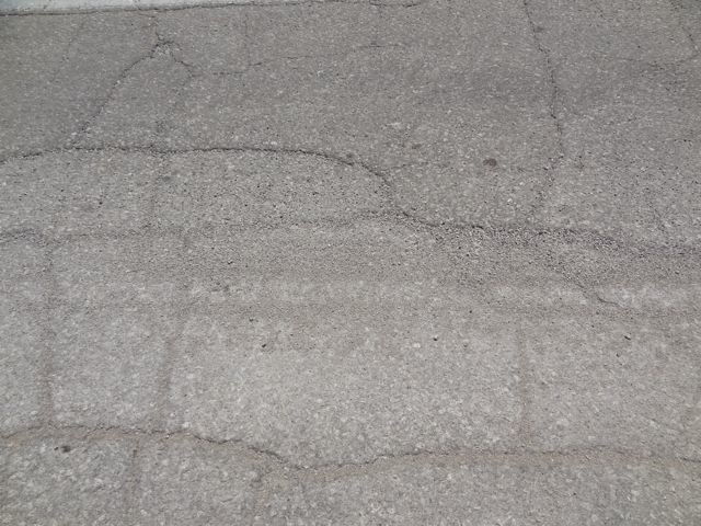 DSC07579