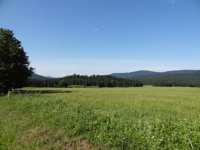 DSC07590