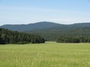 DSC07591