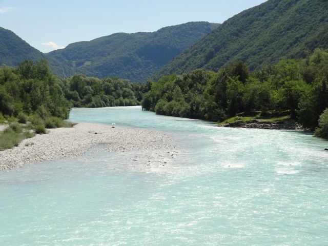 DSC07603