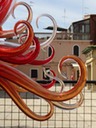 DSC07699