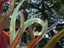 DSC07700