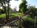 DSC07781