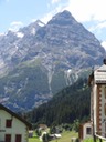 DSC07953