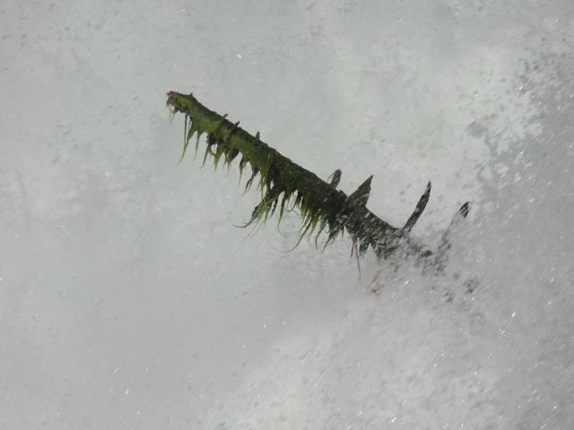 DSC08110