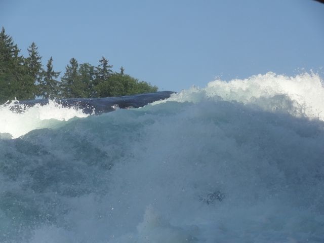 DSC08111