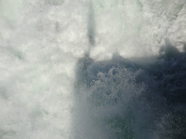 DSC08116