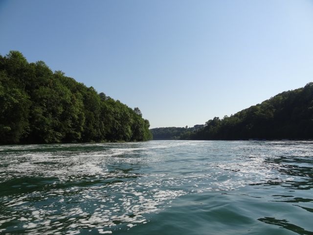 DSC08122