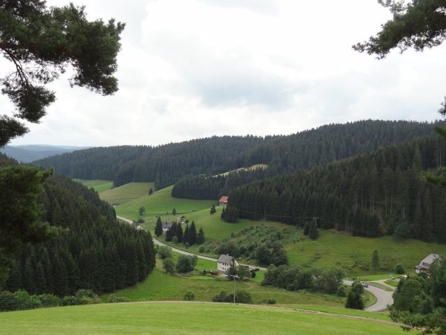 DSC08181