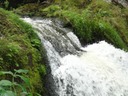 DSC08188