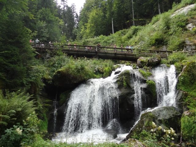 DSC08189