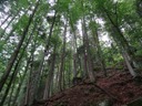 DSC08190