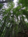 DSC08191