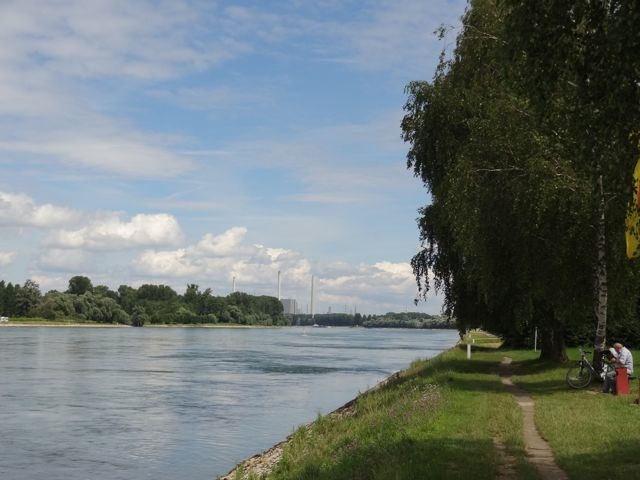 DSC08215