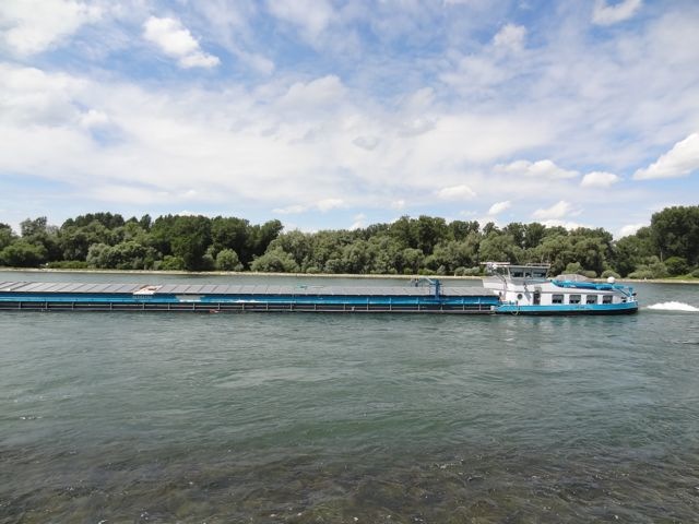 DSC08221