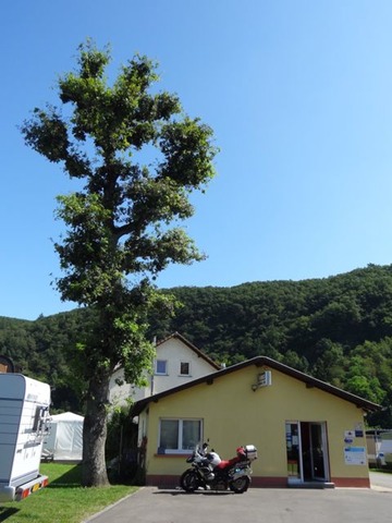 DSC08270