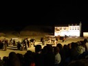 DSC08291