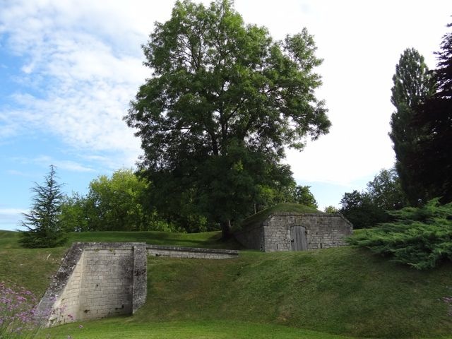 DSC08312