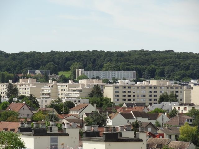 DSC08379