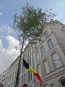 DSC08415