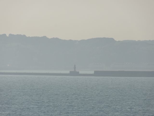 DSC08447