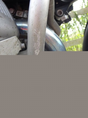 DSC08484