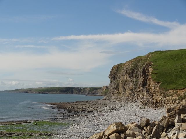DSC08501