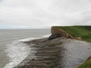 DSC08517