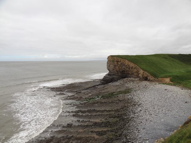 DSC08517