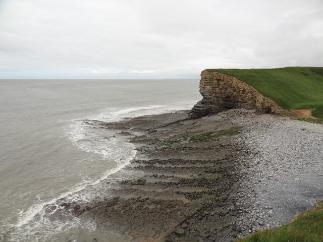 DSC08519