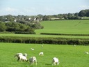 DSC08523