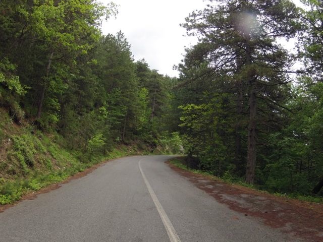 GOPR0131