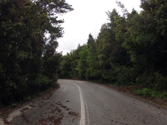 GOPR0154