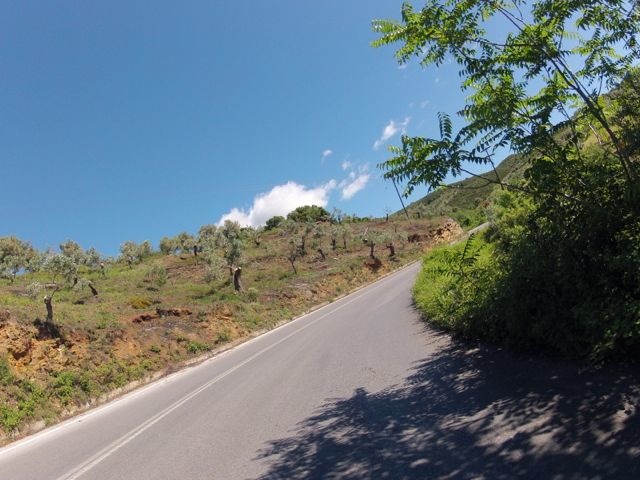 GOPR0186