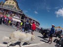 GOPR0353