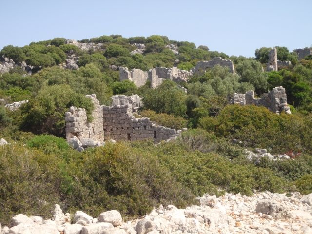 P4250296