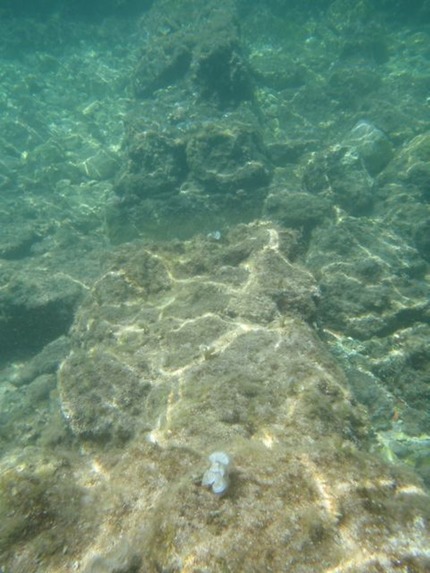 P4250306